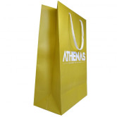 Sacola de Papel Personalizada-1136 - Foto 1