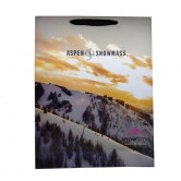 Sacola de Papel Personalizada-1142 - Foto 1