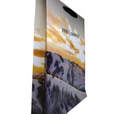 Sacola de Papel Personalizada-1142 - Foto 2