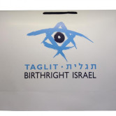 Sacola de Papel Personalizada-1145 - Foto 1