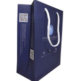 Sacola de Papel Personalizada-1245 - Foto 1