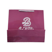 Sacola de Papel Personalizada-1264 - Foto 1