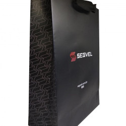 Detalhes do produto Sacola de Papel Personalizada-1141