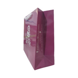 Detalhes do produto Sacola de Papel Personalizada-1264
