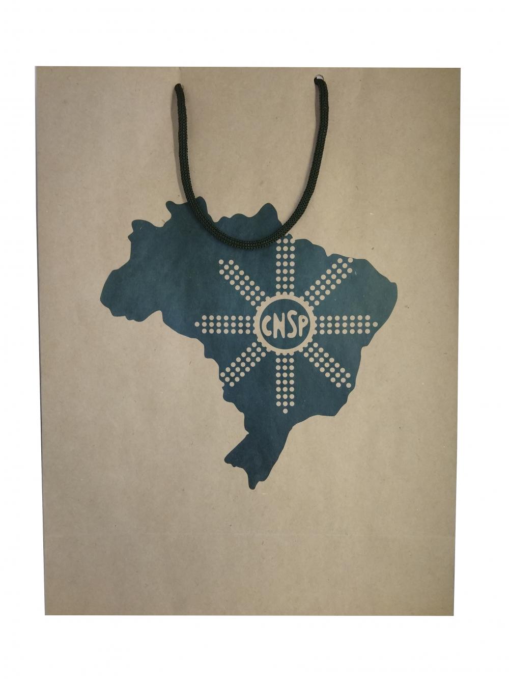 Sacola de Papel Personalizada-1146