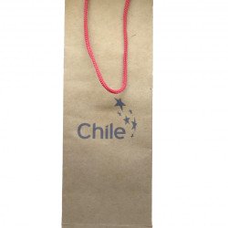 Detalhes do produto Sacola de Papel Personalizada para Garrafa-1066