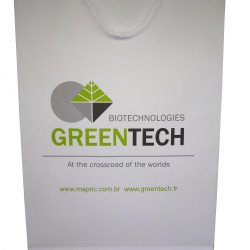 Detalhes do produto Sacola de Papel Personalizada-1144