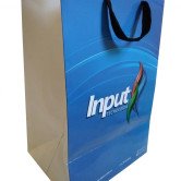 Sacola de Papel Personalizada-1212 - Foto 1